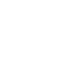 VBet